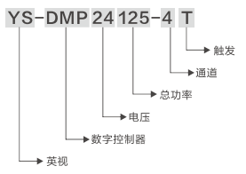 數(shù)字控制器DMP24125-4.jpg